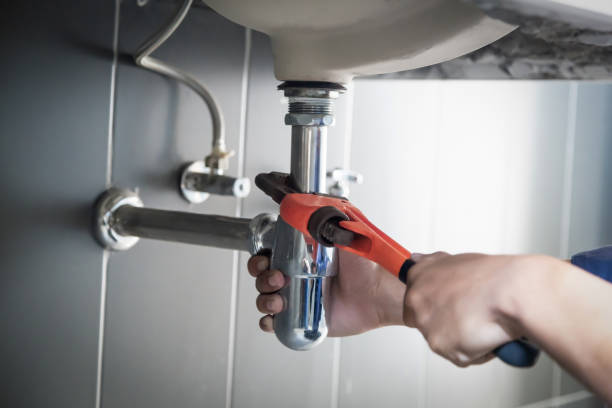 Best Commercial Plumbing Services  in Fox Lake, IL